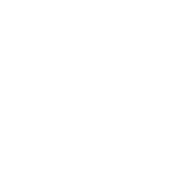 Interactive Dashboards